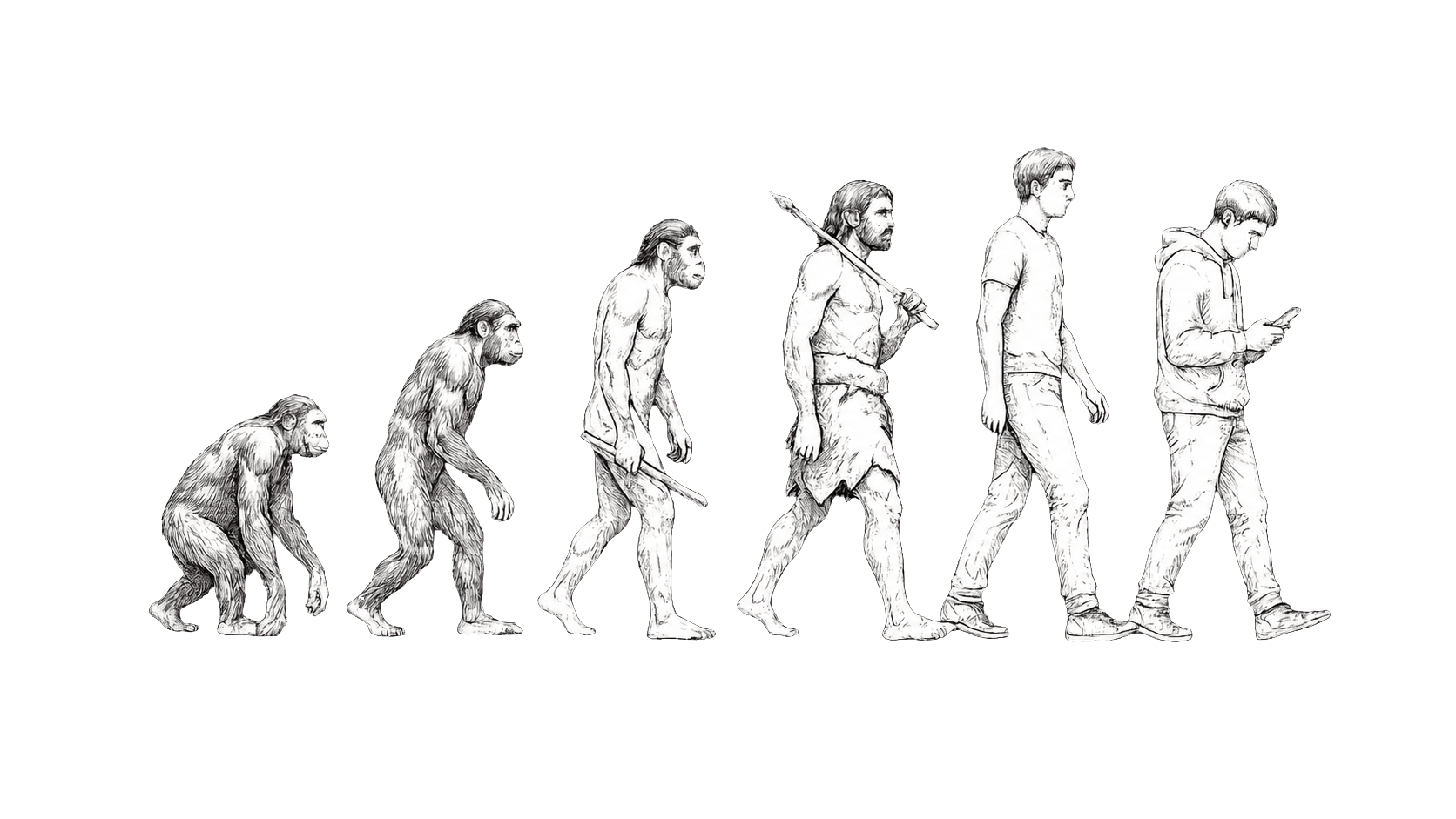 A pen sketch of human evolution, from ape to a person walking absorbed in their phone.